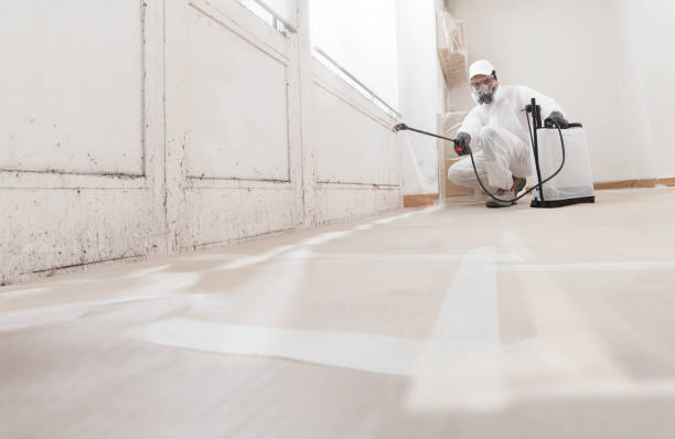 24/7 Emergency Mold Remediation experts in Livingston, TX